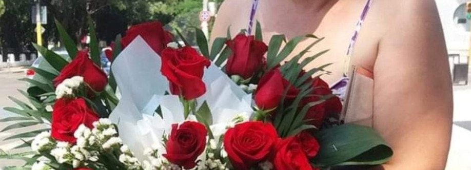 Paula Carapetru Cover Image