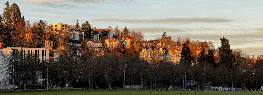 Elena Maidaniuc Cover Image