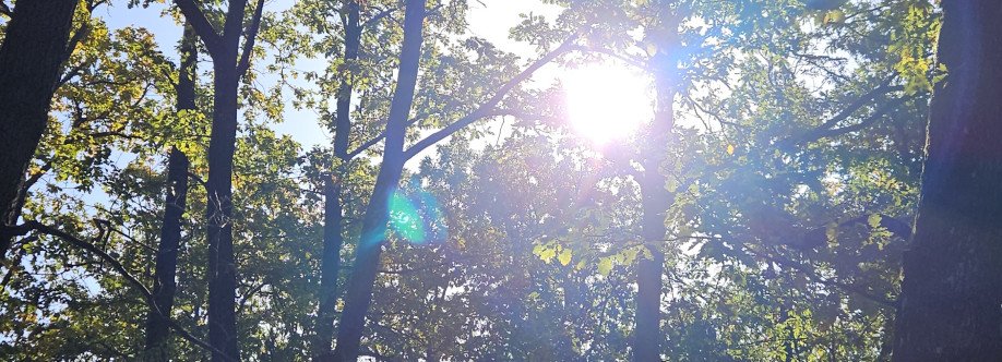 Laura Benea Cover Image