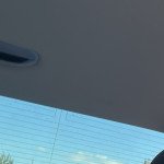 Daniel Anghel Profile Picture