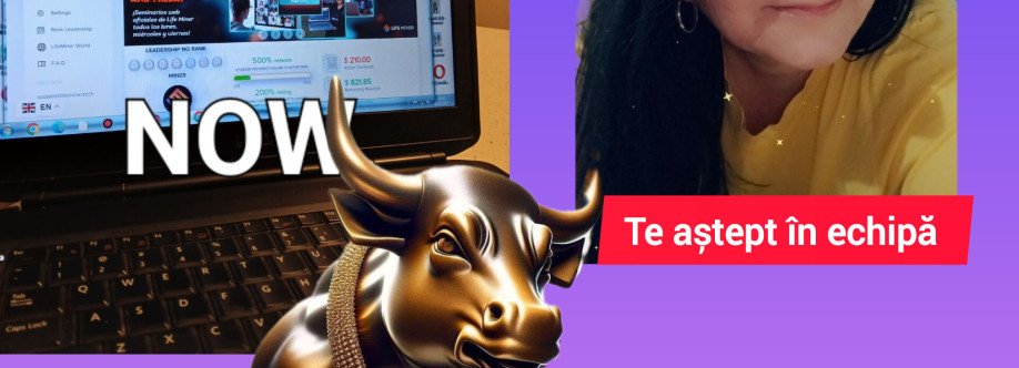 Platformadeinvestiții2024 Cover Image