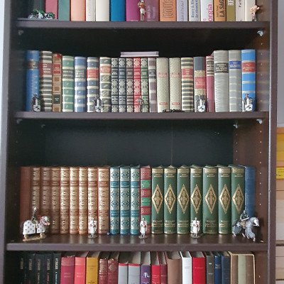 Carti in limba franceza Profile Picture